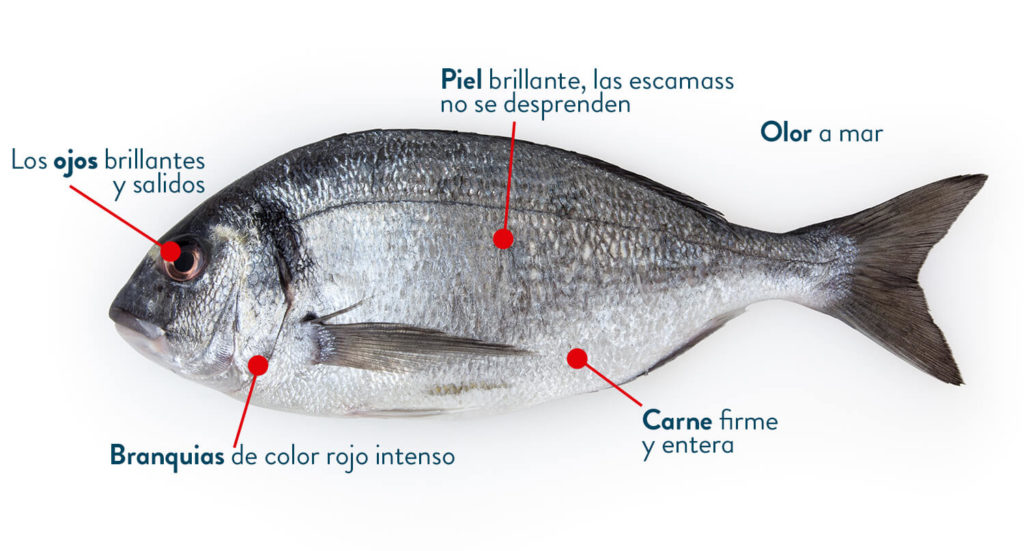 Cómo escoger un pescado fresco