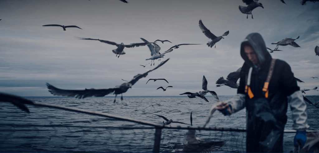 Paissatge mar i ocells